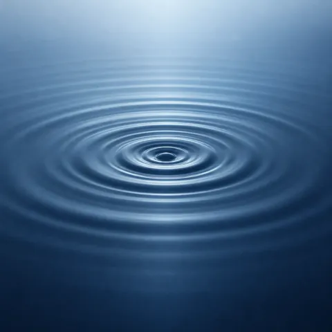 Concentric Ripples · Monochrome Minimal