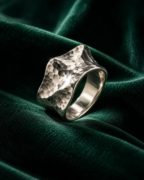 Sculptural Silver Ring · Moody Velvet