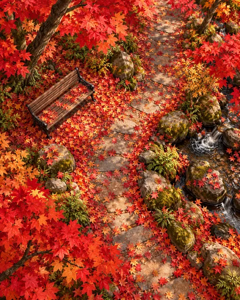 Maple Leaf Path · Minimal flat lay